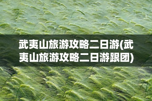 武夷山旅游攻略二日游(武夷山旅游攻略二日游跟团)