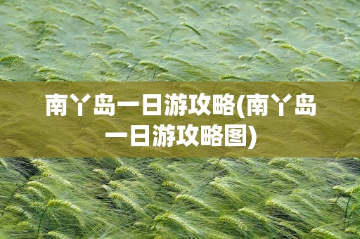 南丫岛一日游攻略(南丫岛一日游攻略图)