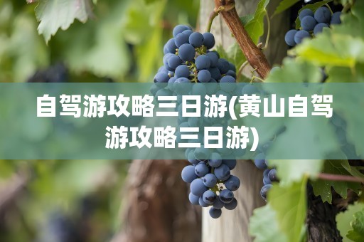 自驾游攻略三日游(黄山自驾游攻略三日游)