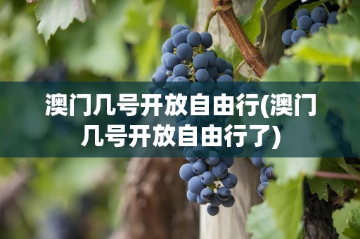 澳门几号开放自由行(澳门几号开放自由行了)