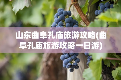 山东曲阜孔庙旅游攻略(曲阜孔庙旅游攻略一日游)