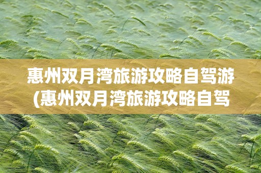 惠州双月湾旅游攻略自驾游(惠州双月湾旅游攻略自驾游限行)