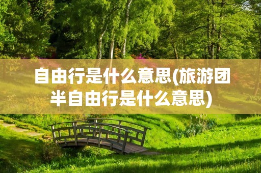 自由行是什么意思(旅游团半自由行是什么意思)