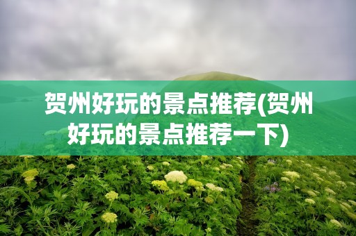 贺州好玩的景点推荐(贺州好玩的景点推荐一下)