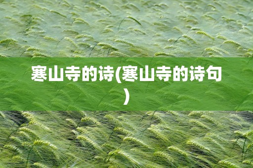 寒山寺的诗(寒山寺的诗句)
