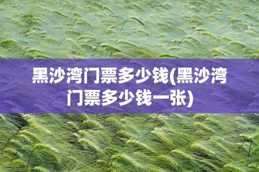 黑沙湾门票多少钱(黑沙湾门票多少钱一张)