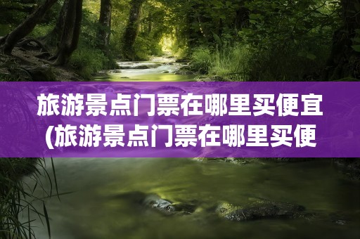 旅游景点门票在哪里买便宜(旅游景点门票在哪里买便宜些)
