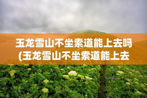 玉龙雪山不坐索道能上去吗(玉龙雪山不坐索道能上去吗现在)