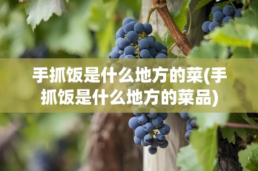 手抓饭是什么地方的菜(手抓饭是什么地方的菜品)