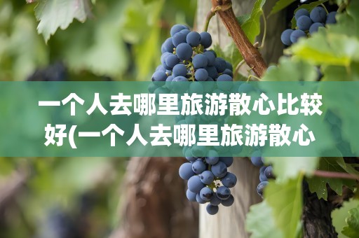 一个人去哪里旅游散心比较好(一个人去哪里旅游散心比较好广东)