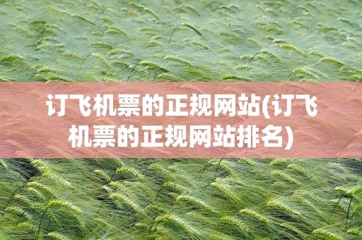 订飞机票的正规网站(订飞机票的正规网站排名)