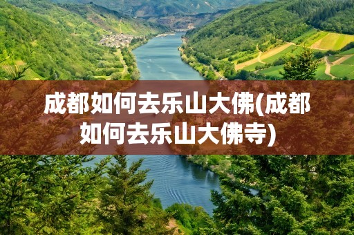 成都如何去乐山大佛(成都如何去乐山大佛寺)