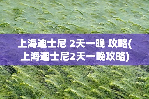 上海迪士尼 2天一晚 攻略(上海迪士尼2天一晚攻略)