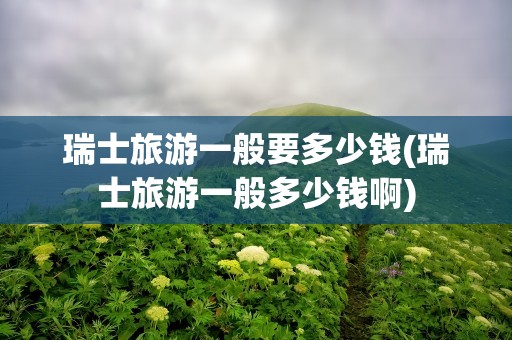 瑞士旅游一般要多少钱(瑞士旅游一般多少钱啊)