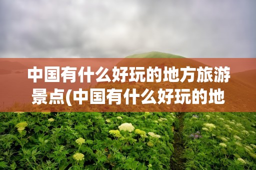 中国有什么好玩的地方旅游景点(中国有什么好玩的地方旅游景点吗)