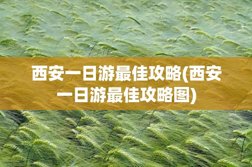 西安一日游最佳攻略(西安一日游最佳攻略图)