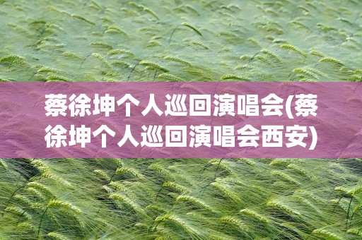 蔡徐坤个人巡回演唱会(蔡徐坤个人巡回演唱会西安)