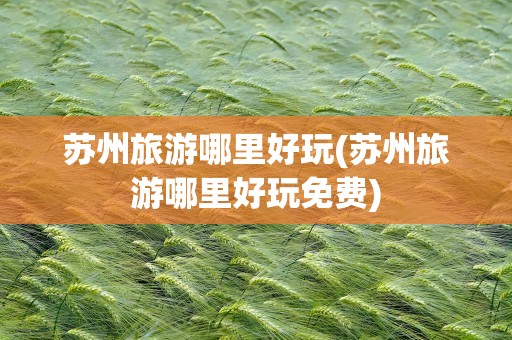 苏州旅游哪里好玩(苏州旅游哪里好玩免费)