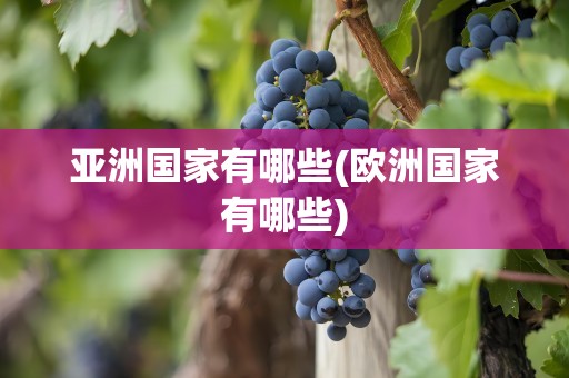 亚洲国家有哪些(欧洲国家有哪些)