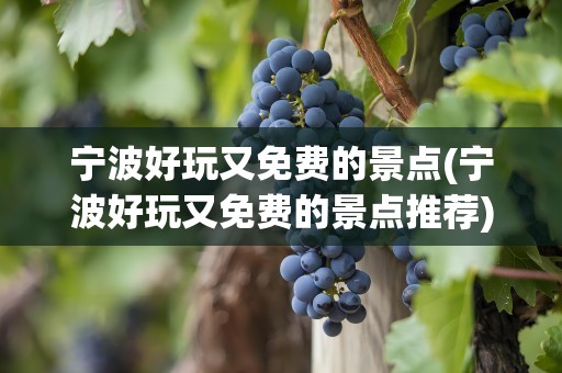 宁波好玩又免费的景点(宁波好玩又免费的景点推荐)