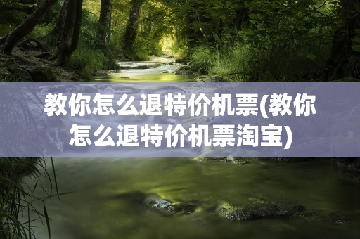 教你怎么退特价机票(教你怎么退特价机票淘宝)