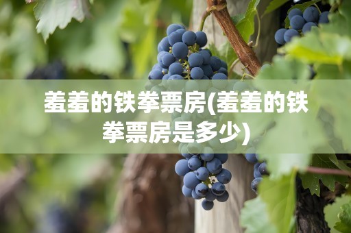羞羞的铁拳票房(羞羞的铁拳票房是多少)