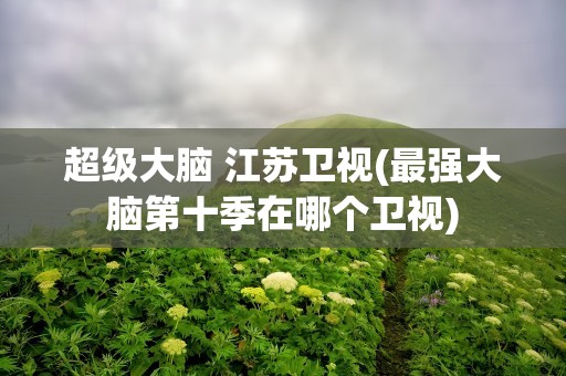 超级大脑 江苏卫视(最强大脑第十季在哪个卫视)