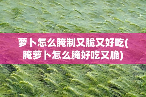 萝卜怎么腌制又脆又好吃(腌萝卜怎么腌好吃又脆)