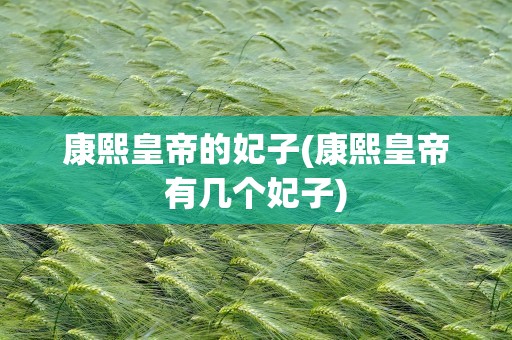 康熙皇帝的妃子(康熙皇帝有几个妃子)