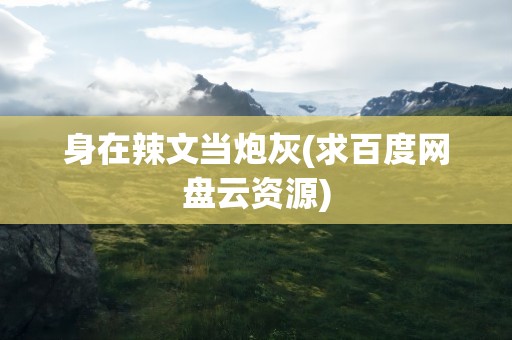 身在辣文当炮灰(求百度网盘云资源)