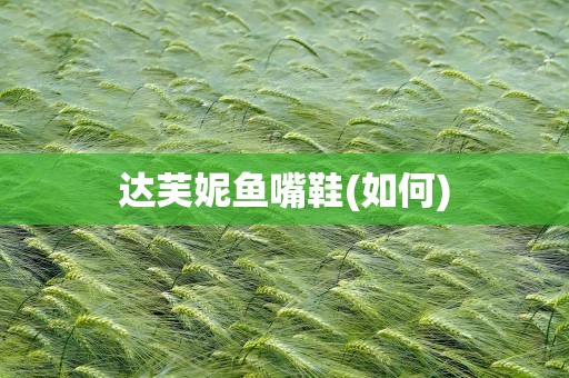 达芙妮鱼嘴鞋(如何)