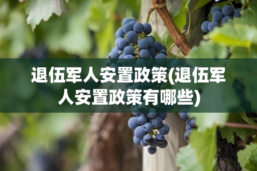 退伍军人安置政策(退伍军人安置政策有哪些)
