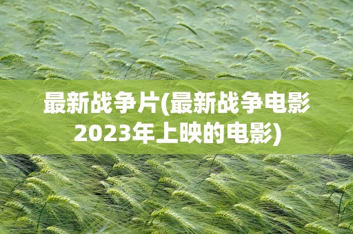 最新战争片(最新战争电影2023年上映的电影)