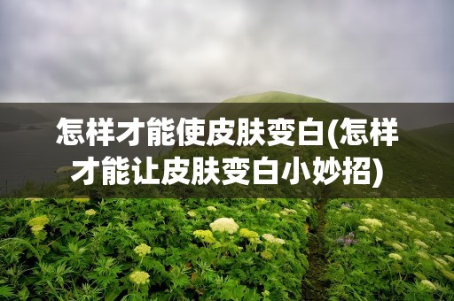 怎样才能使皮肤变白(怎样才能让皮肤变白小妙招)