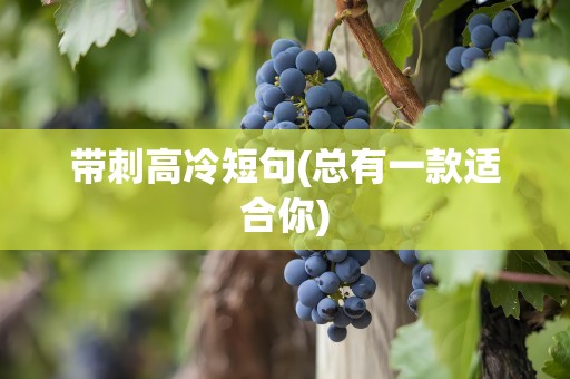 带刺高冷短句(总有一款适合你)