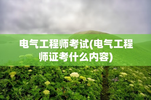电气工程师考试(电气工程师证考什么内容)
