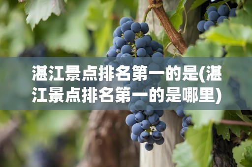 湛江景点排名第一的是(湛江景点排名第一的是哪里)
