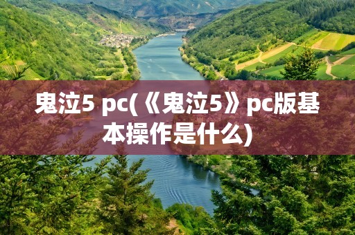 鬼泣5 pc(《鬼泣5》pc版基本操作是什么)