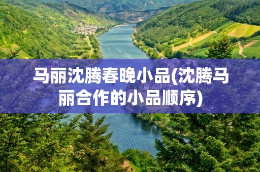 马丽沈腾春晚小品(沈腾马丽合作的小品顺序)