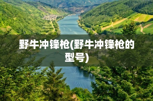 野牛冲锋枪(野牛冲锋枪的型号)