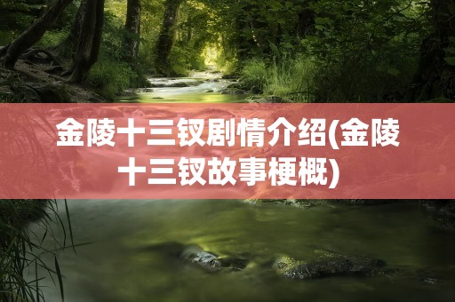 金陵十三钗剧情介绍(金陵十三钗故事梗概)