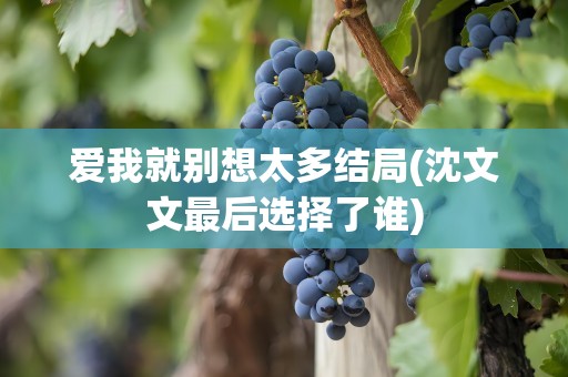 爱我就别想太多结局(沈文文最后选择了谁)