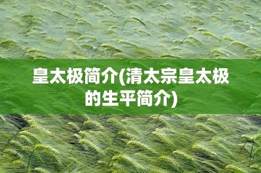 皇太极简介(清太宗皇太极的生平简介)