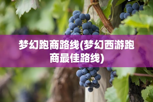 梦幻跑商路线(梦幻西游跑商最佳路线)