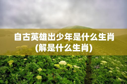 自古英雄出少年是什么生肖(解是什么生肖)