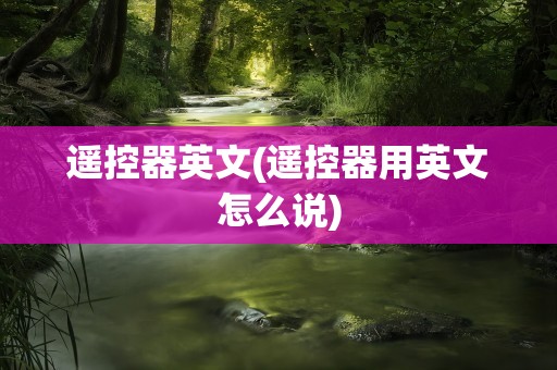 遥控器英文(遥控器用英文怎么说)