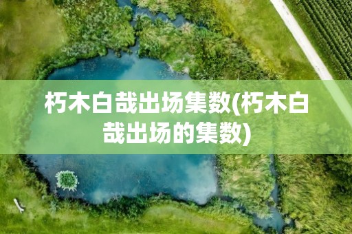 朽木白哉出场集数(朽木白哉出场的集数)