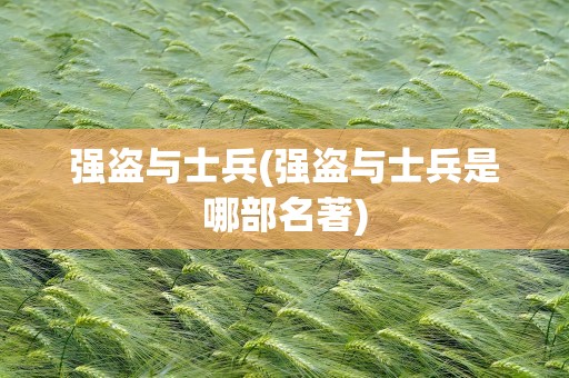 强盗与士兵(强盗与士兵是哪部名著)