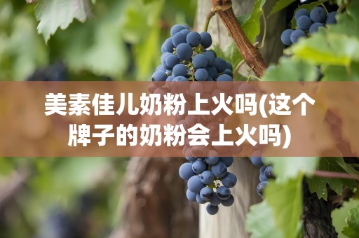 美素佳儿奶粉上火吗(这个牌子的奶粉会上火吗)