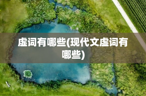 虚词有哪些(现代文虚词有哪些)